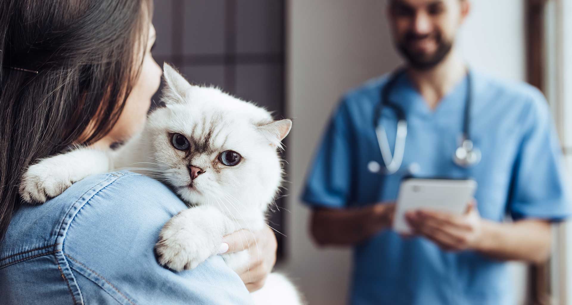Cat Vaccinations